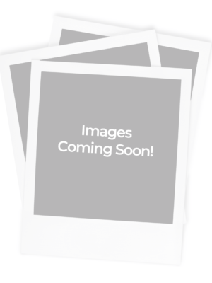 image-placeholder-6.png Hasbro Planet of the Apes Ari Action Figure with Battle Flag